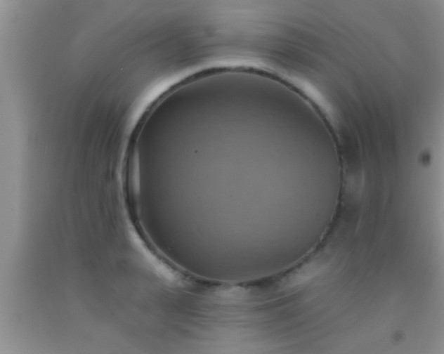 X0000092110943200709191325