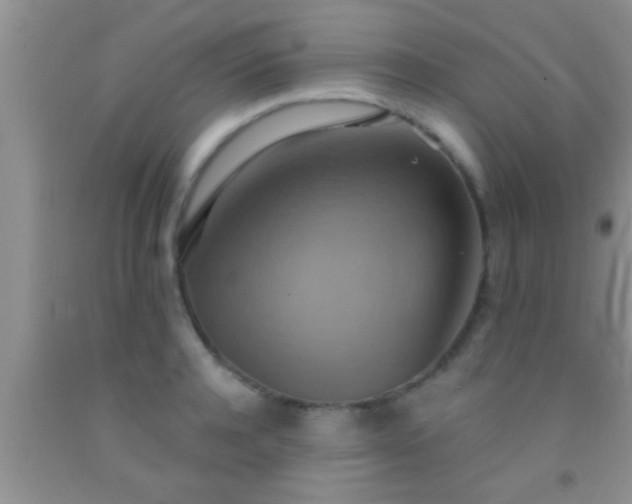 X0000092110944200709191325