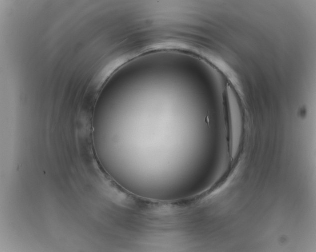 X0000092110945200709191325