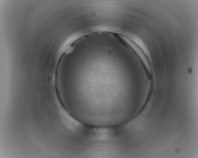 X0000092110946200709191325