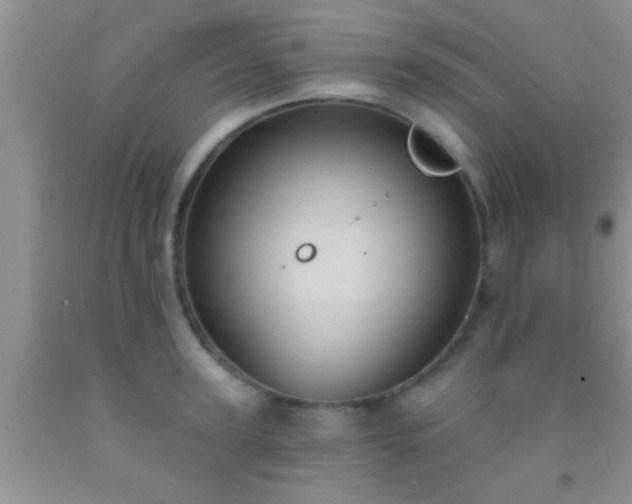 X0000092110947200709191325