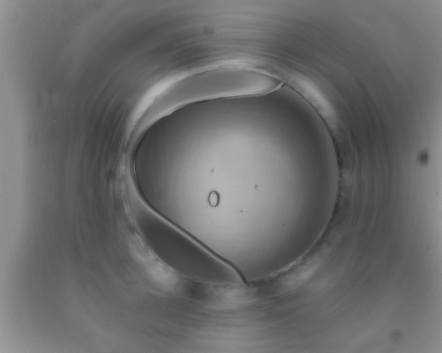 X0000092110948200709191325