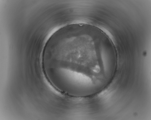 X0000092110949200709191325