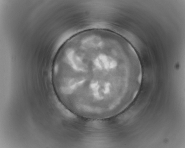 X0000092110950200709191325