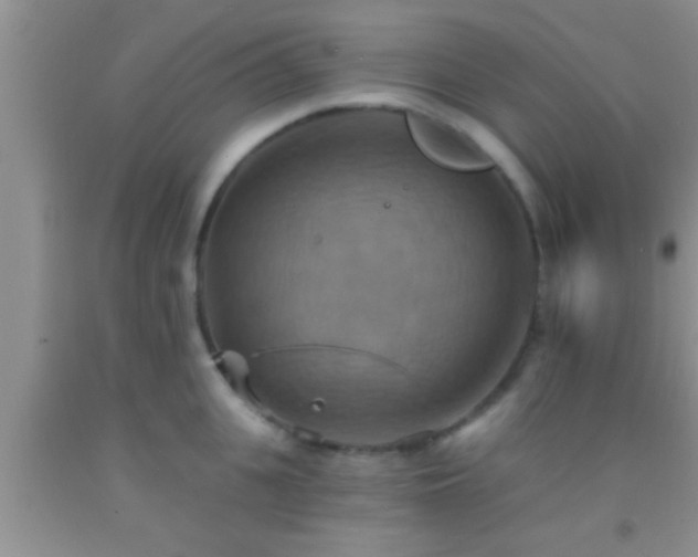 X0000092110951200709191325