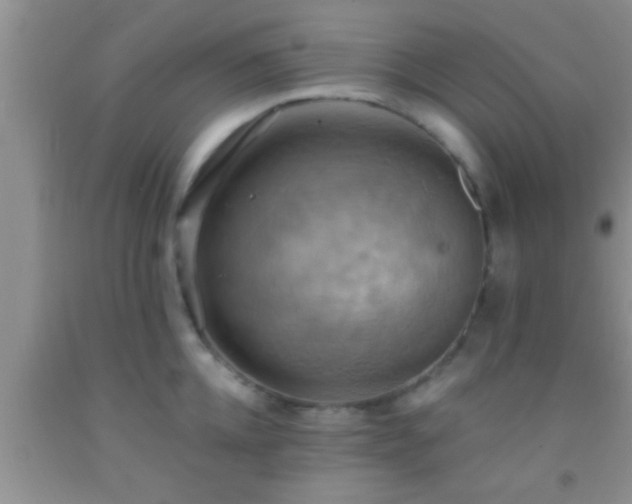 X0000092110952200709191325