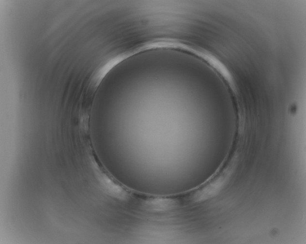 X0000092110953200709191325