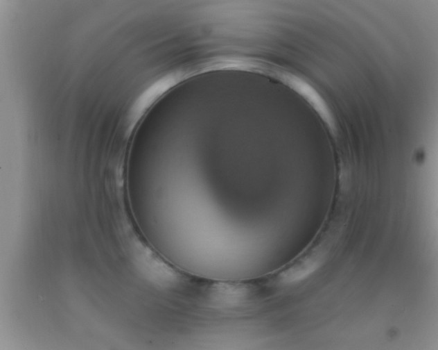 X0000092110954200709191325