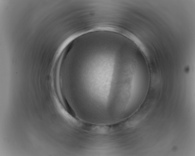 X0000092110955200709191325