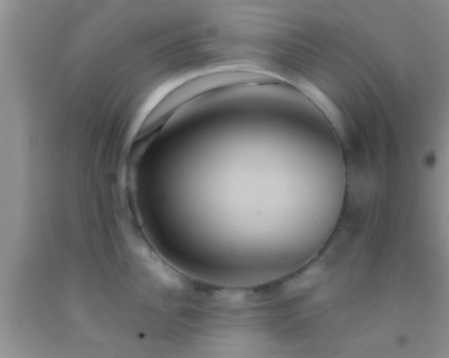 X0000092110956200709191325