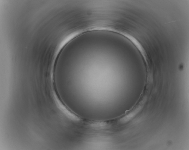 X0000092110957200709191325