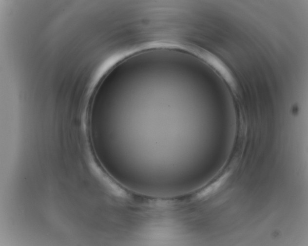 X0000092110958200709191325