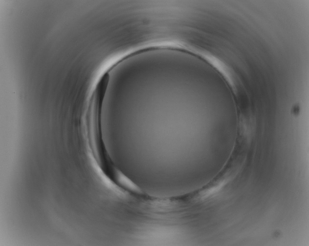 X0000092110959200709191325