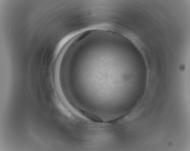 X0000092110960200709191325