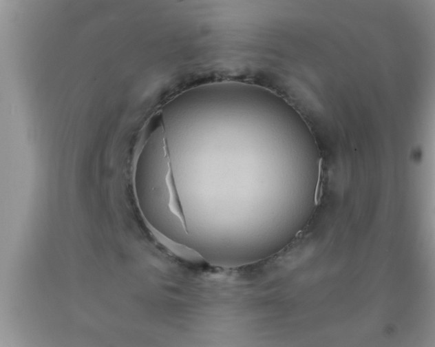 X0000092110961200709191325