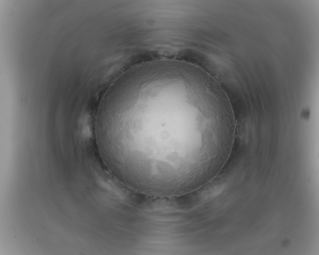 X0000092110962200709191324