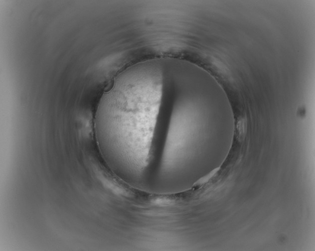 X0000092110963200709191324