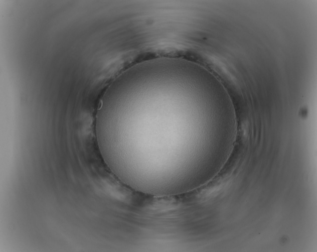 X0000092110964200709191324