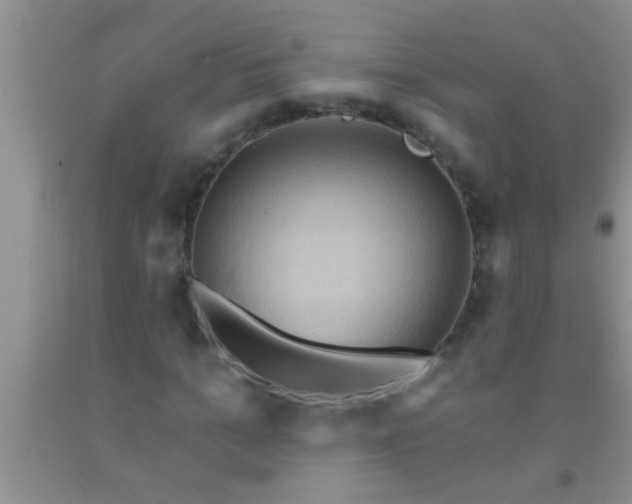 X0000092110965200709191324