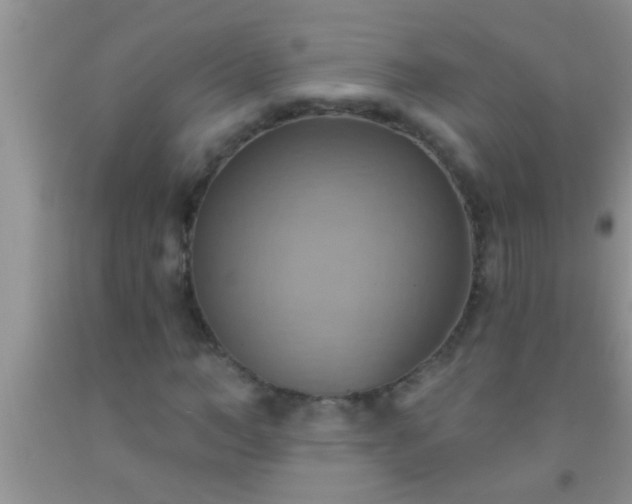 X0000092110966200709191324