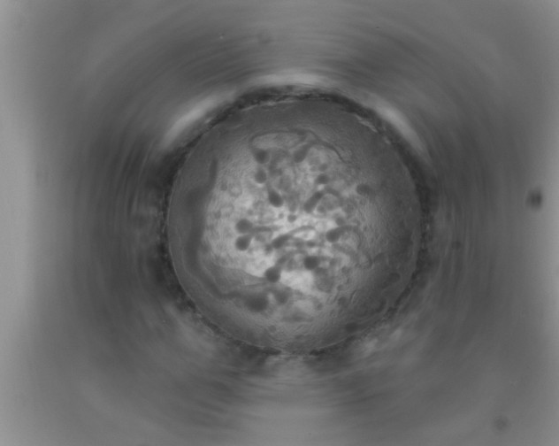 X0000092110967200709191324