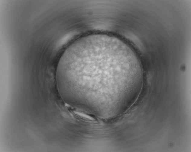 X0000092110968200709191324