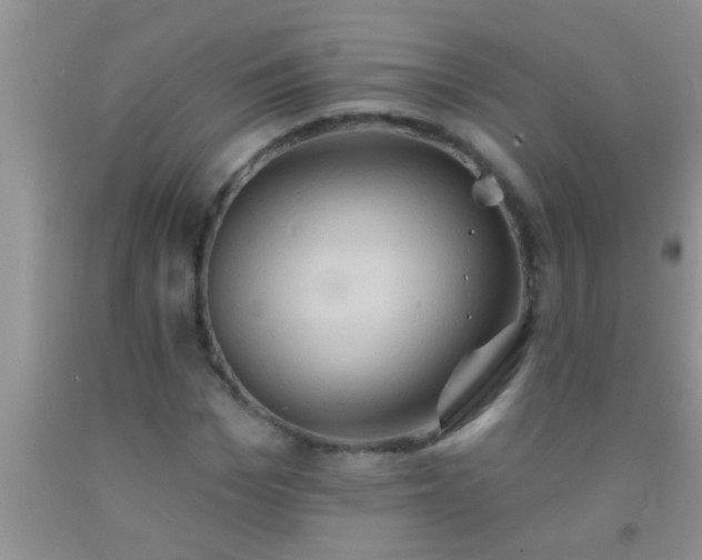 X0000092110969200709191324