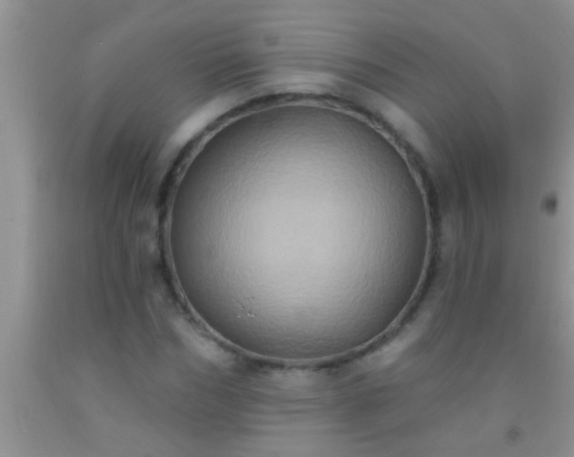 X0000092110970200709191324