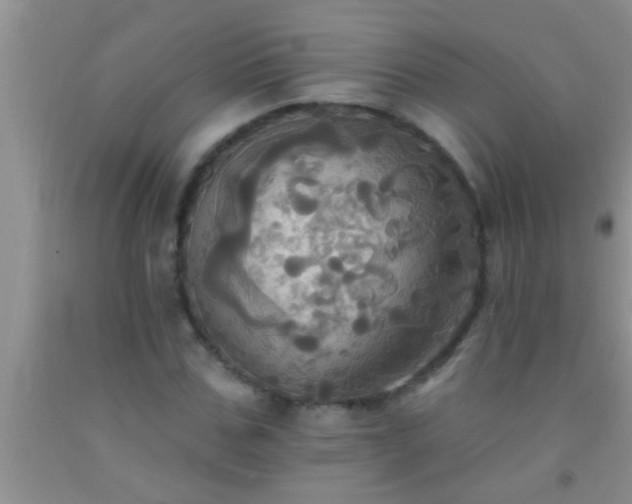 X0000092110971200709191324