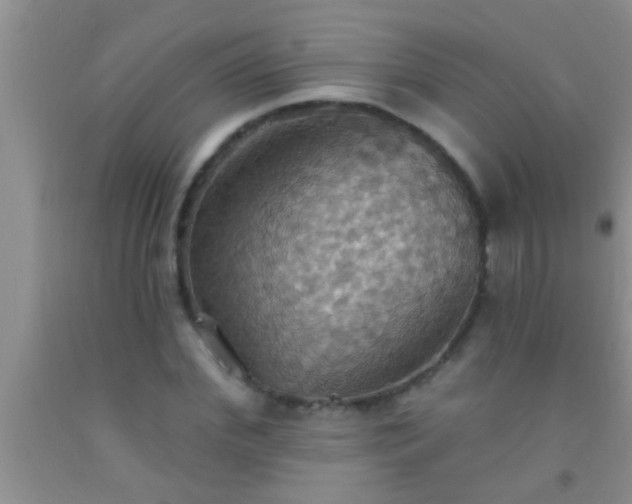 X0000092110972200709191324