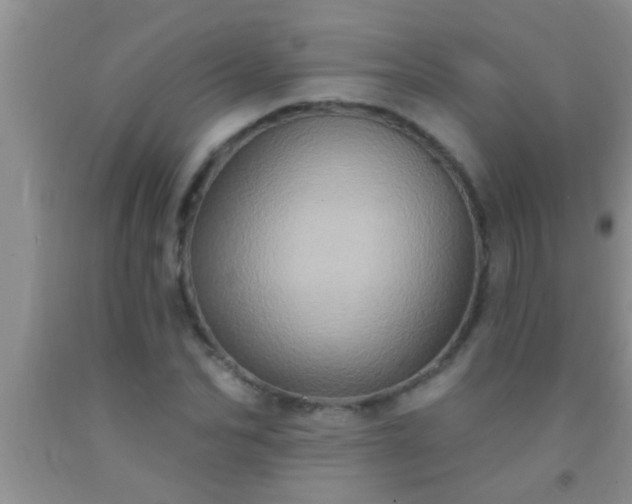 X0000092110974200709191324