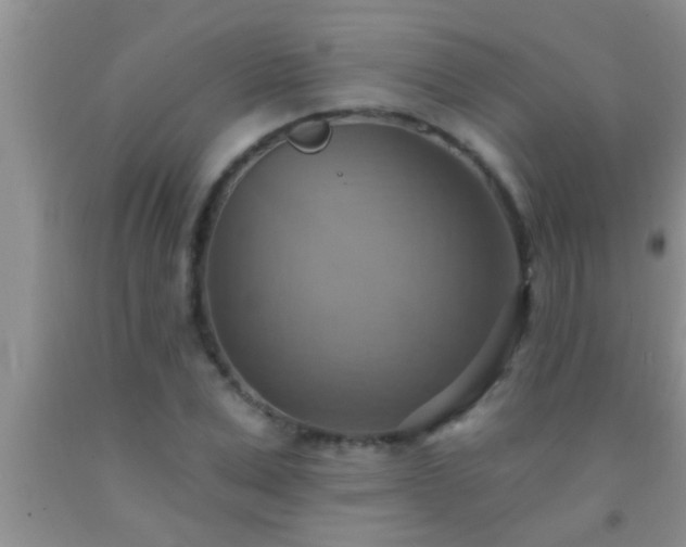 X0000092110975200709191324