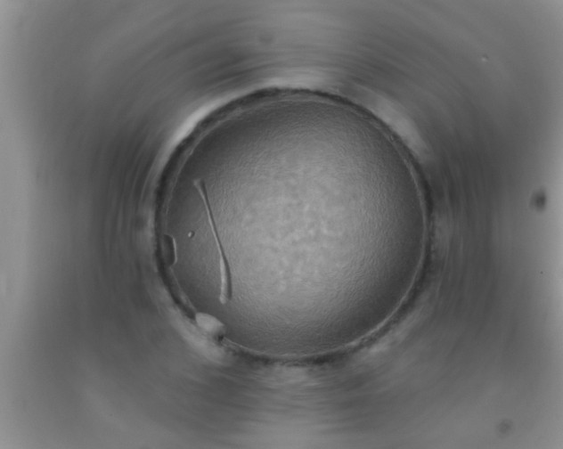 X0000092110976200709191324