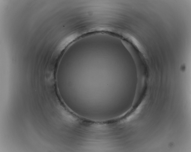 X0000092110977200709191324