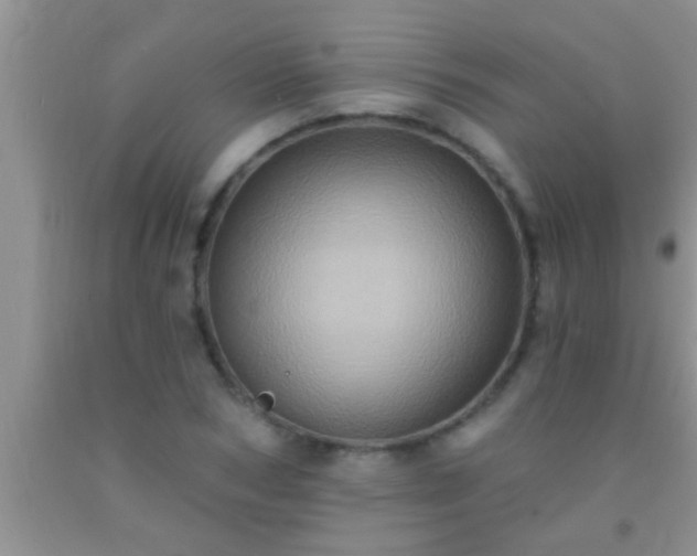 X0000092110978200709191324