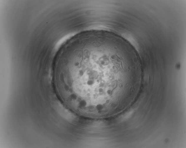 X0000092110979200709191324