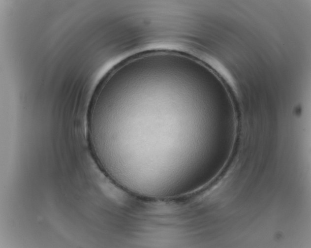 X0000092110980200709191324