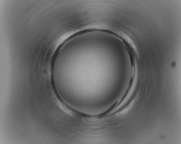 X0000092110981200709191324