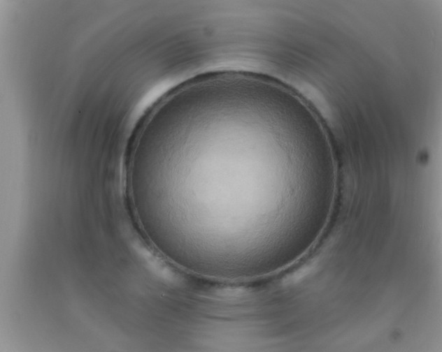 X0000092110982200709191324