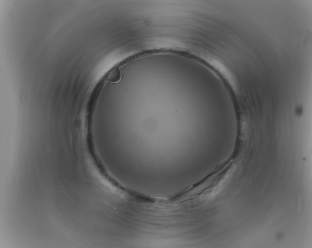 X0000092110983200709191324