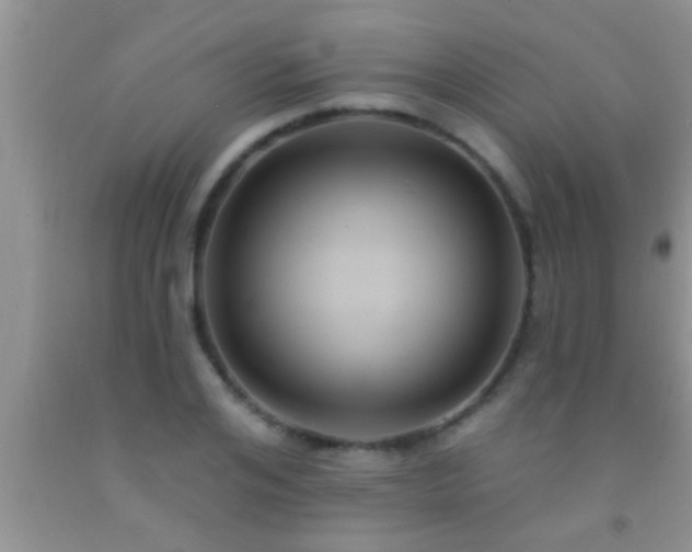 X0000092110984200709191324