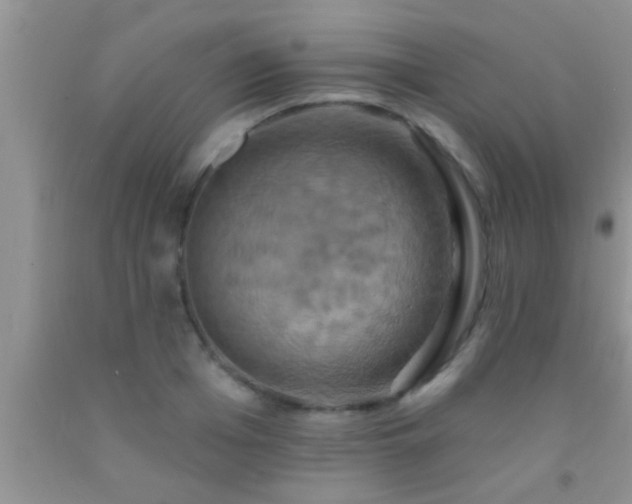 X0000092110985200709191324