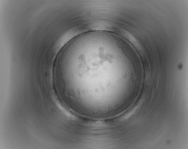 X0000092110986200709191324