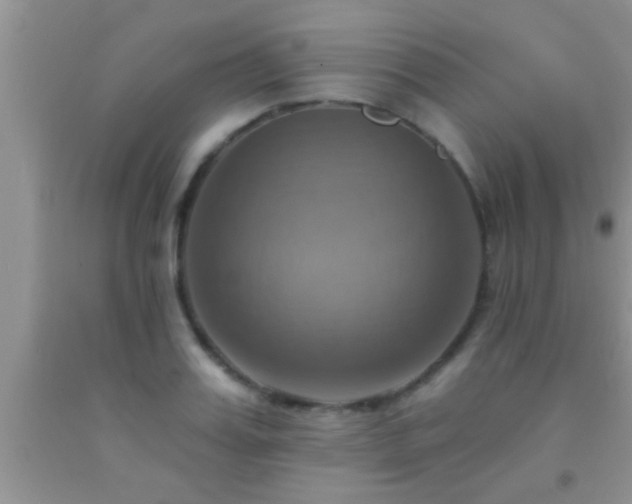 X0000092110987200709191324