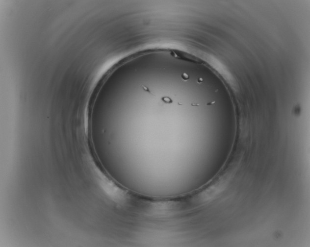 X0000092110988200709191324