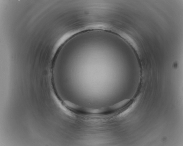 X0000092110989200709191324