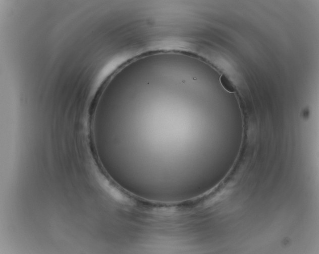 X0000092110990200709191324