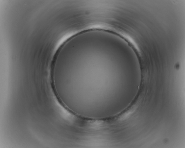 X0000092110991200709191324