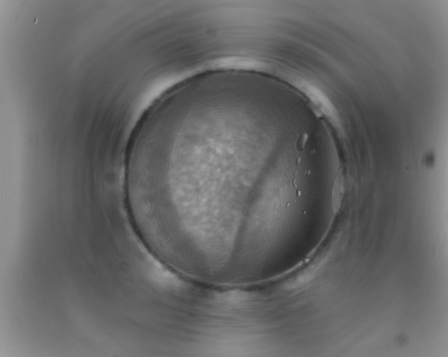 X0000092110992200709191324