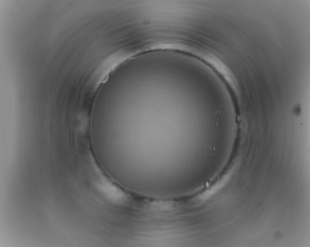 X0000092110993200709191324